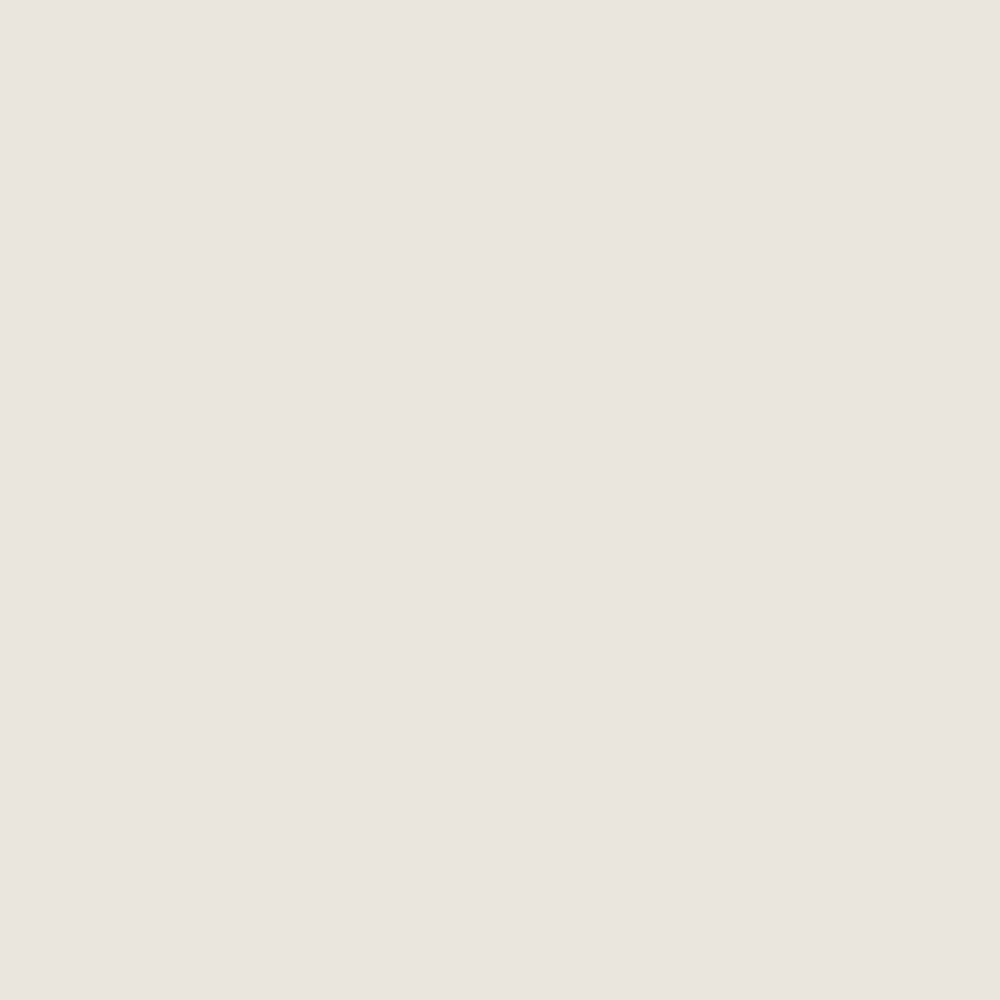 Velvet Paint - Quart