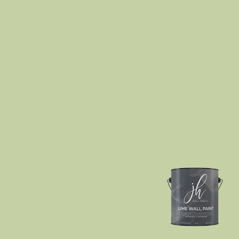 Limewash Paint - Gallon