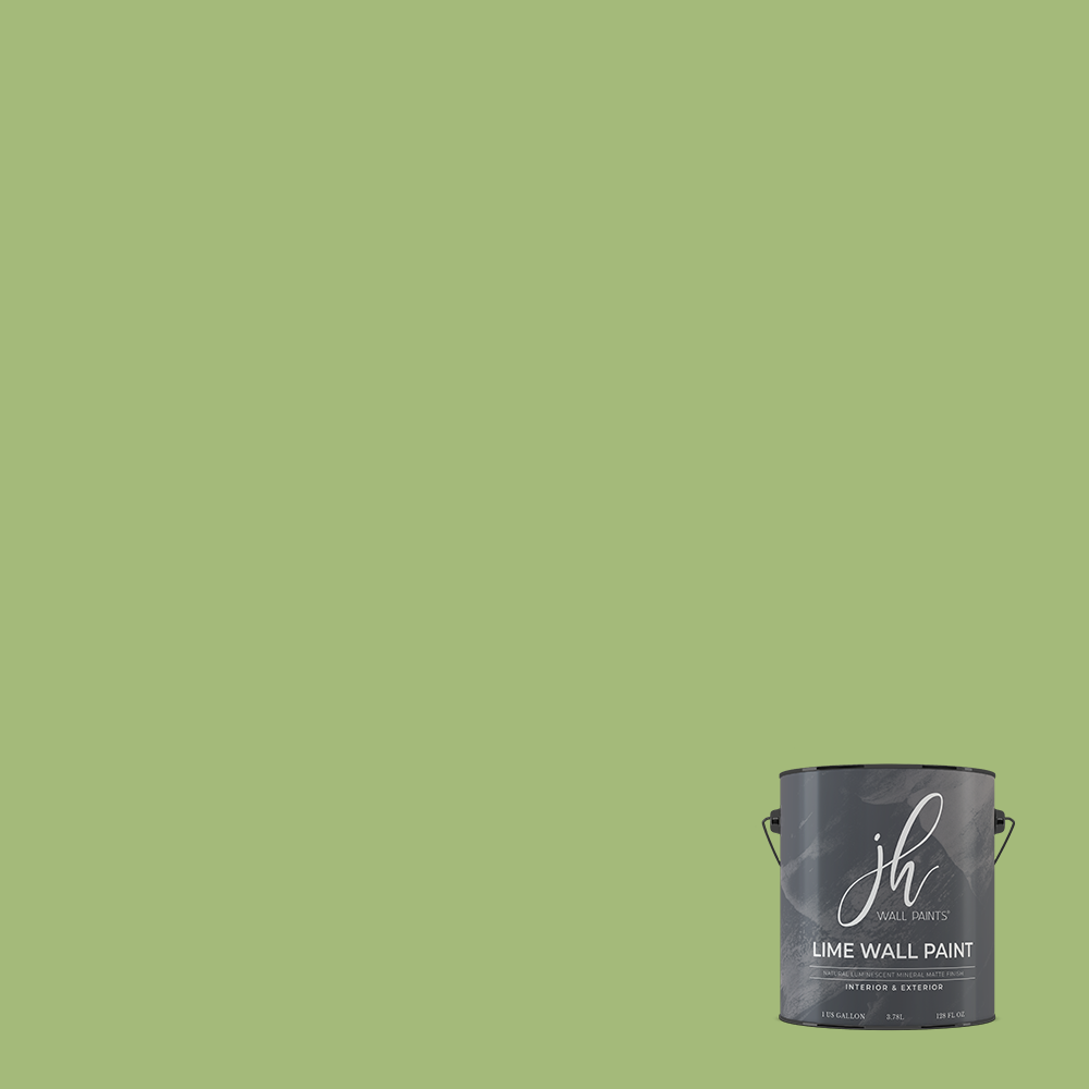 Limewash Paint - Gallon