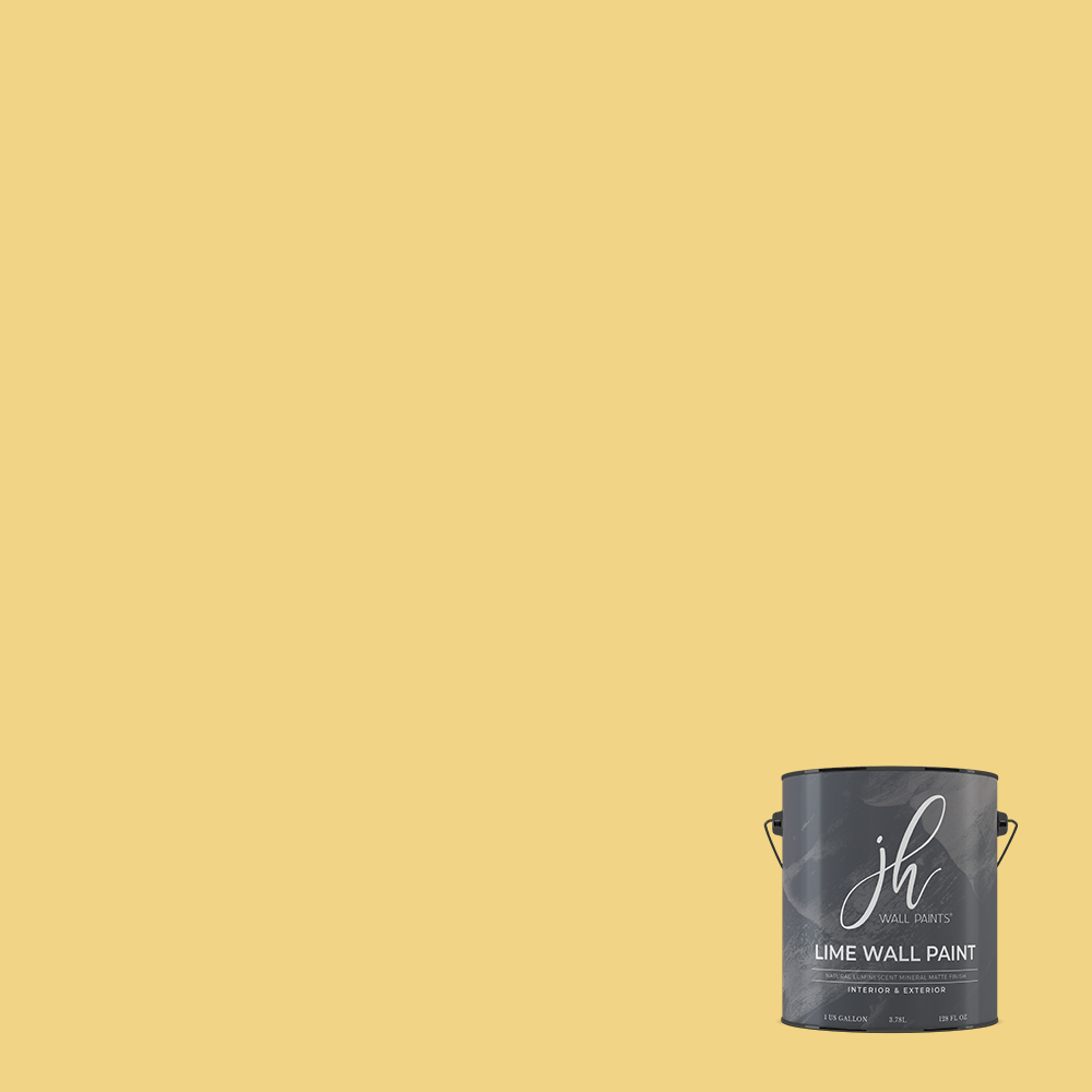 Limewash Paint - Gallon