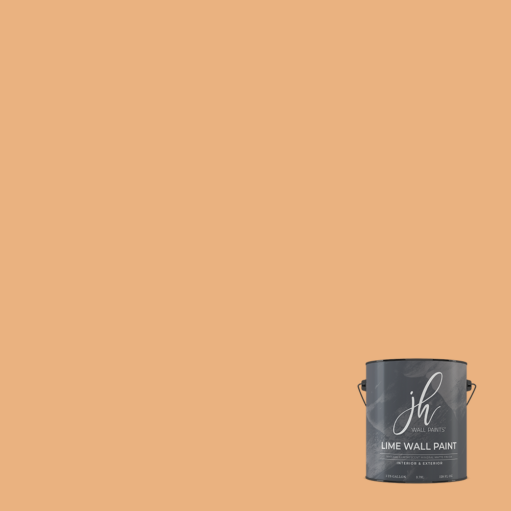 Limewash Paint - Gallon