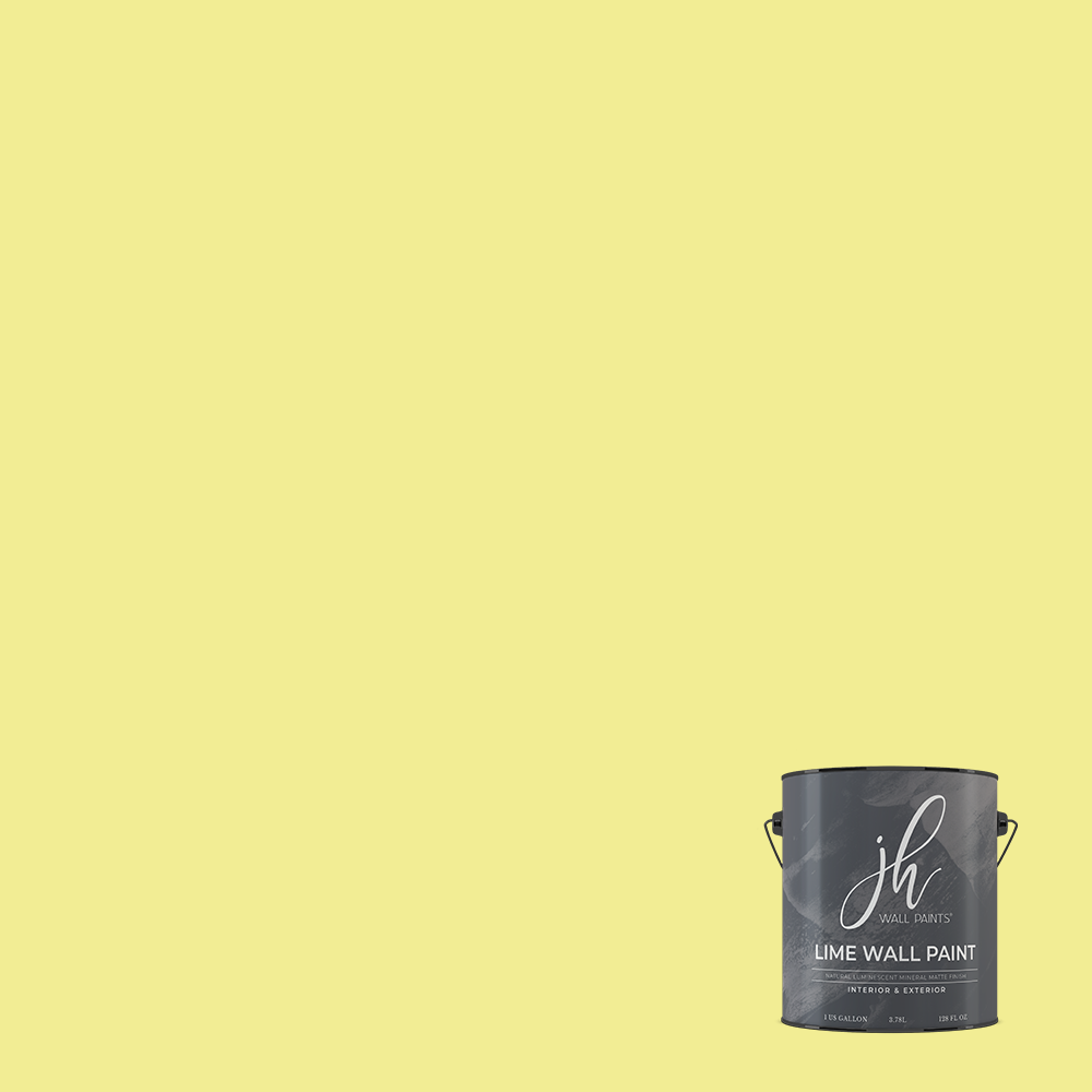 Limewash Paint - Gallon