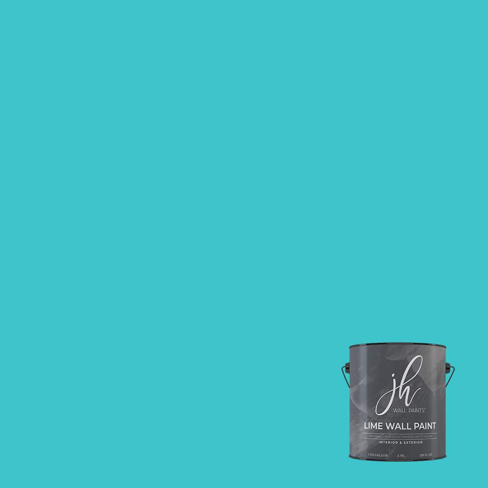 Limewash Paint - Gallon
