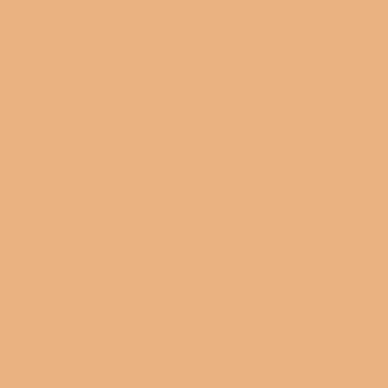 Velvet Paint - Quart - JH Wall Paints