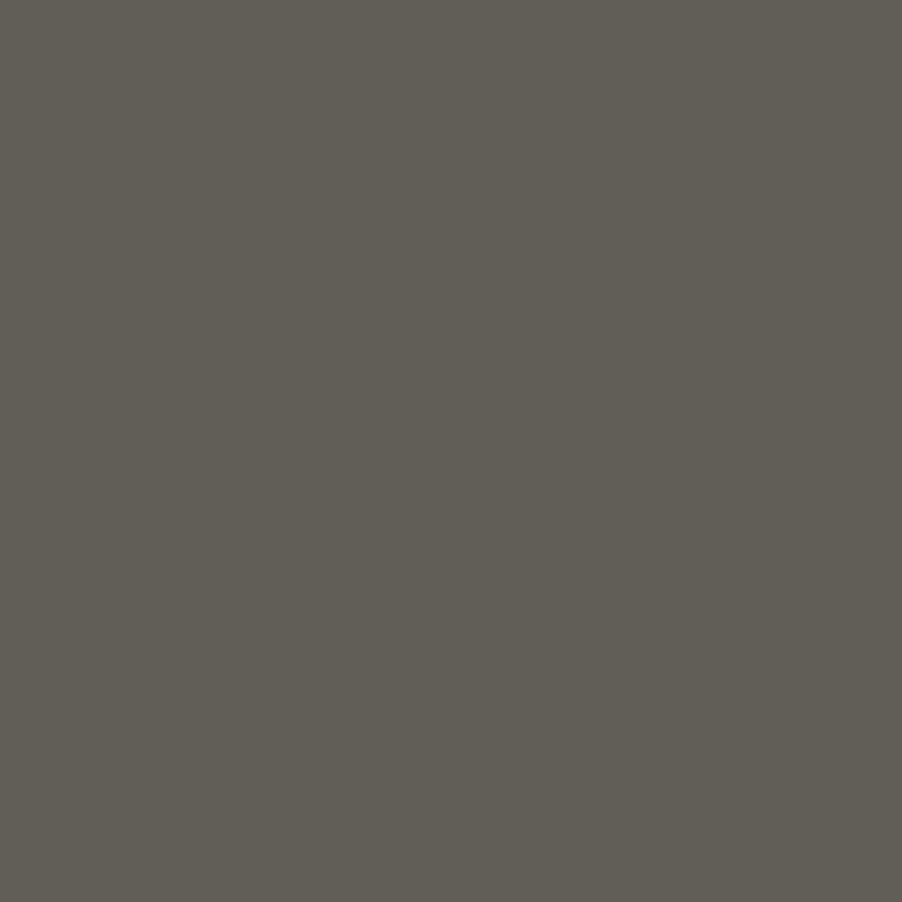 Interior Velvet Finish Paint - Gallon