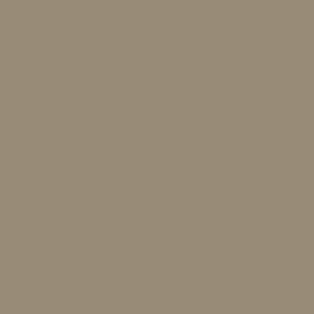 Interior Velvet Finish Paint - Gallon