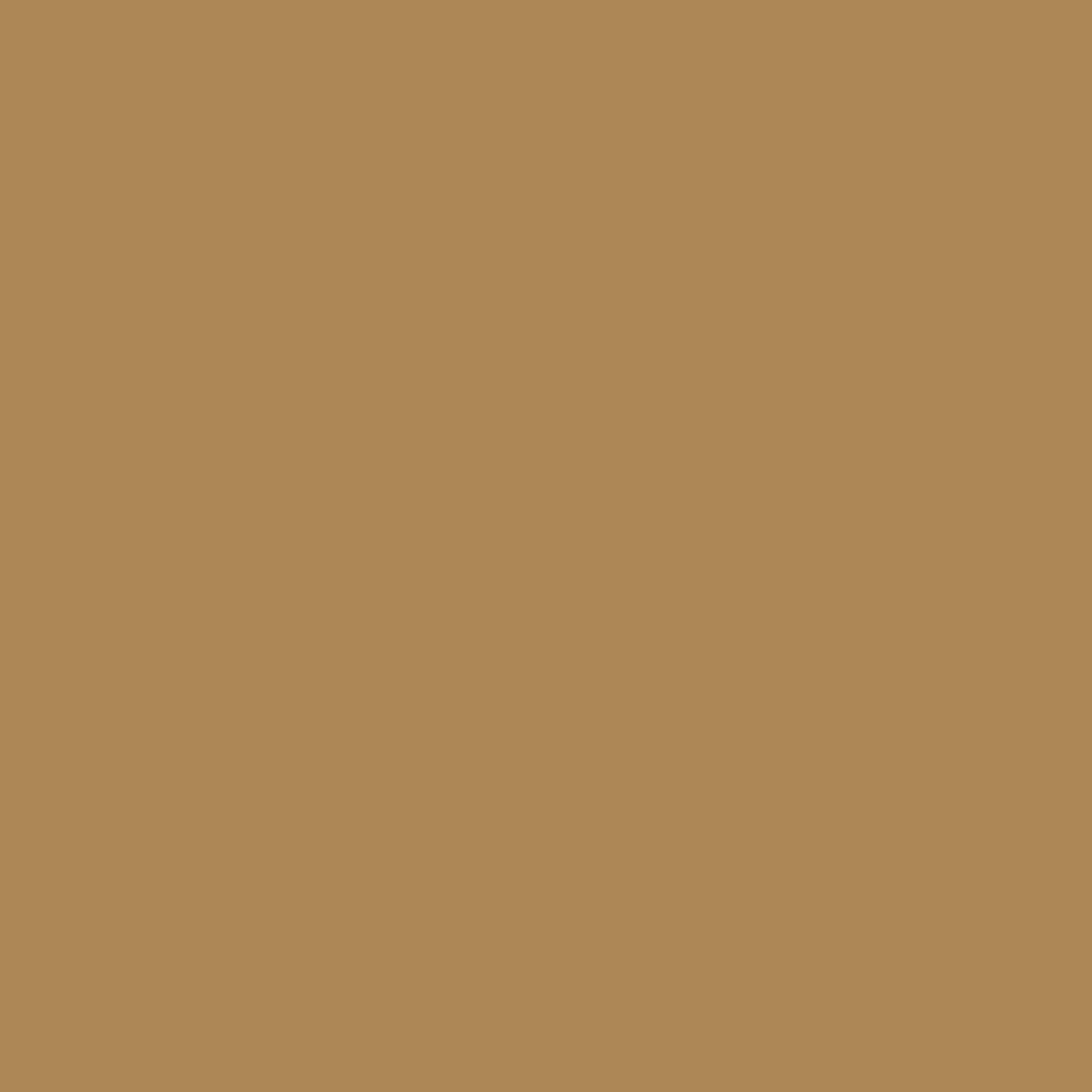 Interior Velvet Finish Paint - Gallon