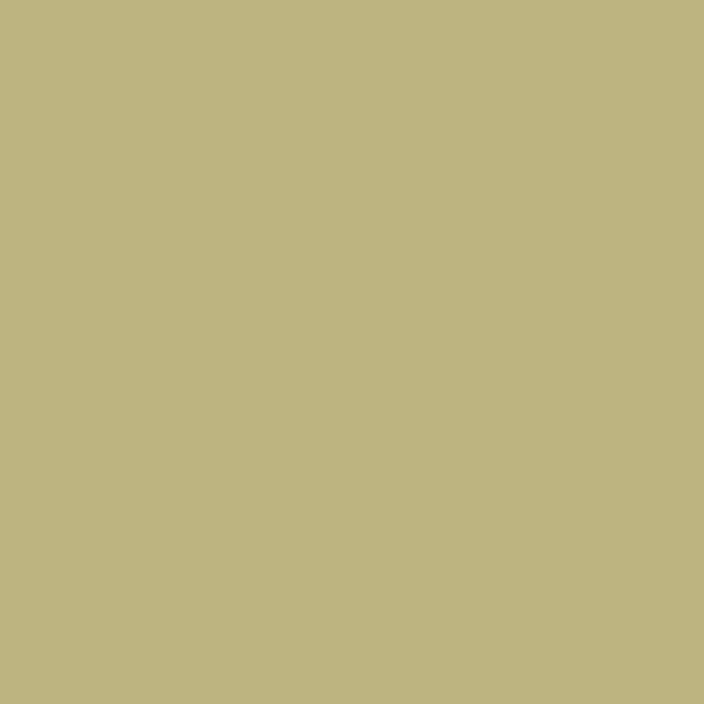 Interior Velvet Finish Paint - Gallon