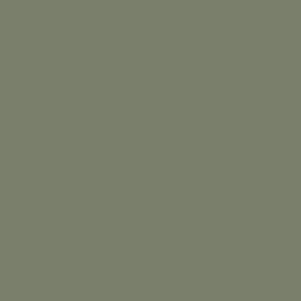Interior Velvet Finish Paint - Gallon