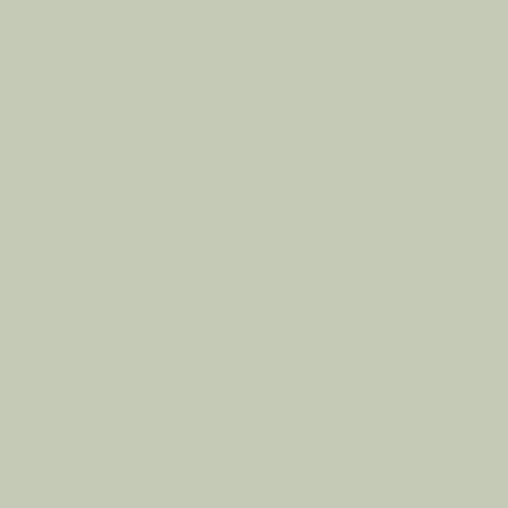 Calcare - Cream White Limewash Wall Paint – Limewash Paint - James