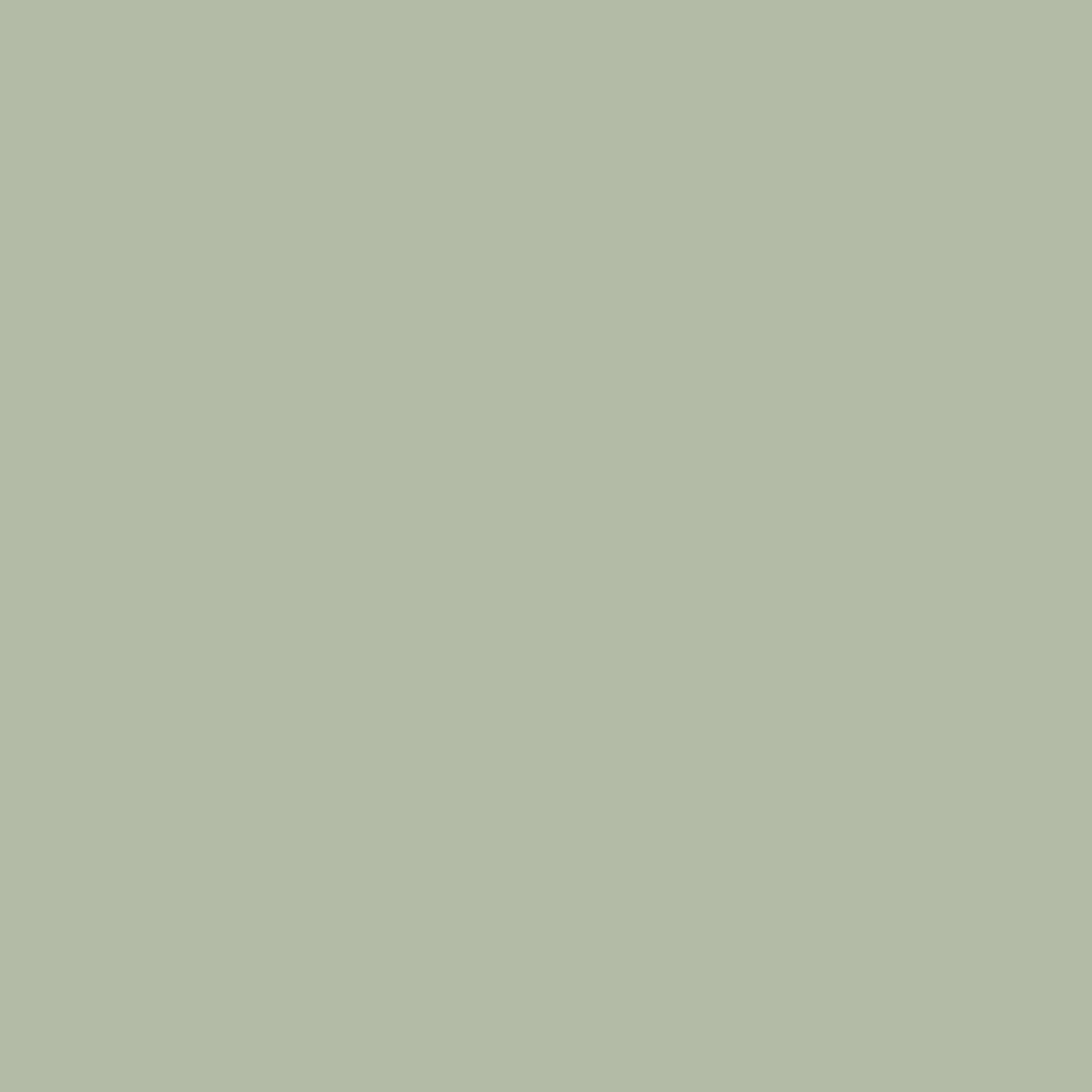 Interior Velvet Finish Paint - Gallon