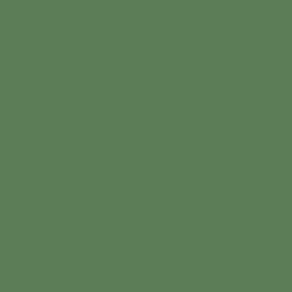 Interior Velvet Finish Paint - Gallon