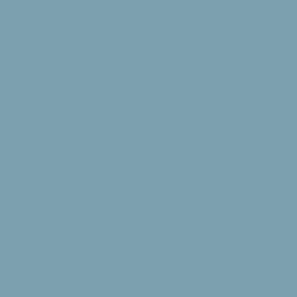 Interior Velvet Finish Paint - Gallon
