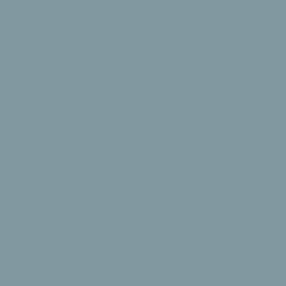 Interior Velvet Finish Paint - Gallon