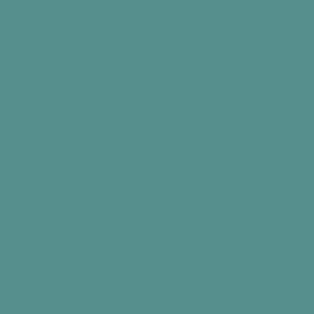 Interior Velvet Finish Paint - Gallon