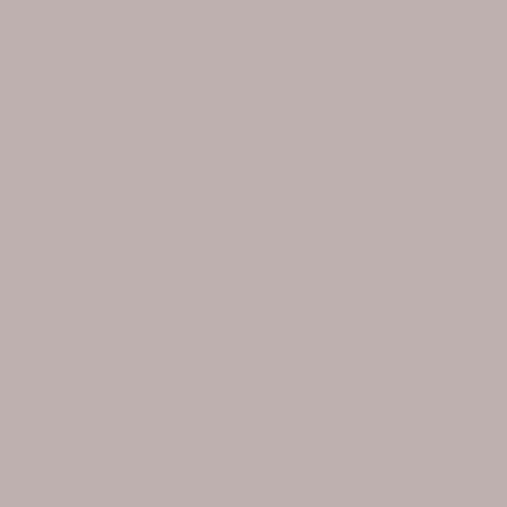 Interior Velvet Finish Paint - Gallon