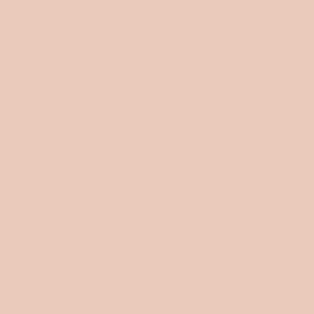Interior Velvet Finish Paint - Gallon
