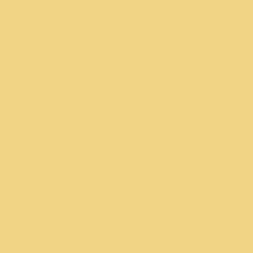Interior Velvet Finish Paint - Gallon