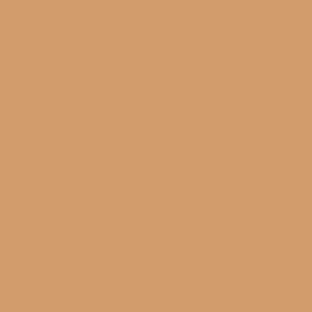 Interior Velvet Finish Paint - Gallon