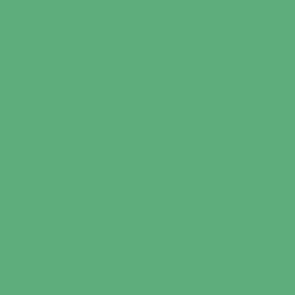 Interior Velvet Finish Paint - Gallon