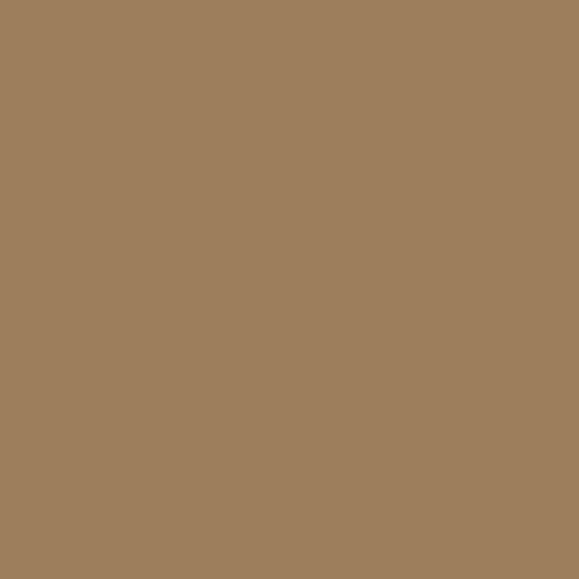 Interior Velvet Finish Paint - Gallon